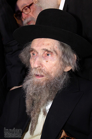 HaRav HaGaon Aharon Leib Shteinman