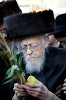 HaRav HaGaon Yosef Shalom Elyashiv ZT"L