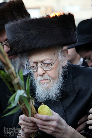 HaRav HaGaon Yosef Shalom Elyashiv ZT"L